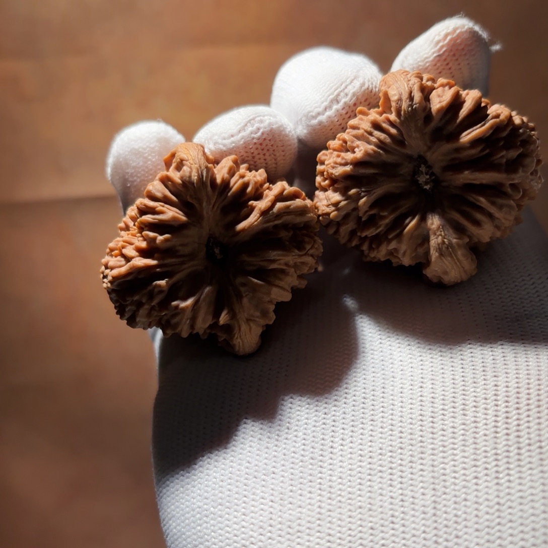 简***生吊坠文玩核桃13号链接39凹底