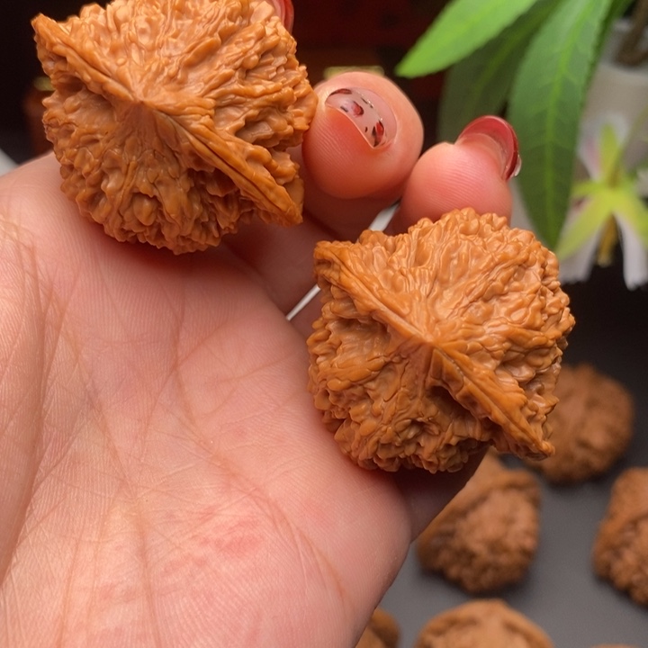 文玩核桃把件满天星