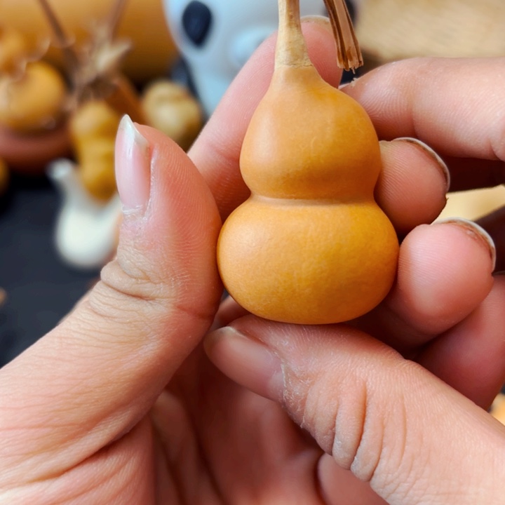 洛****力8888888888888888888