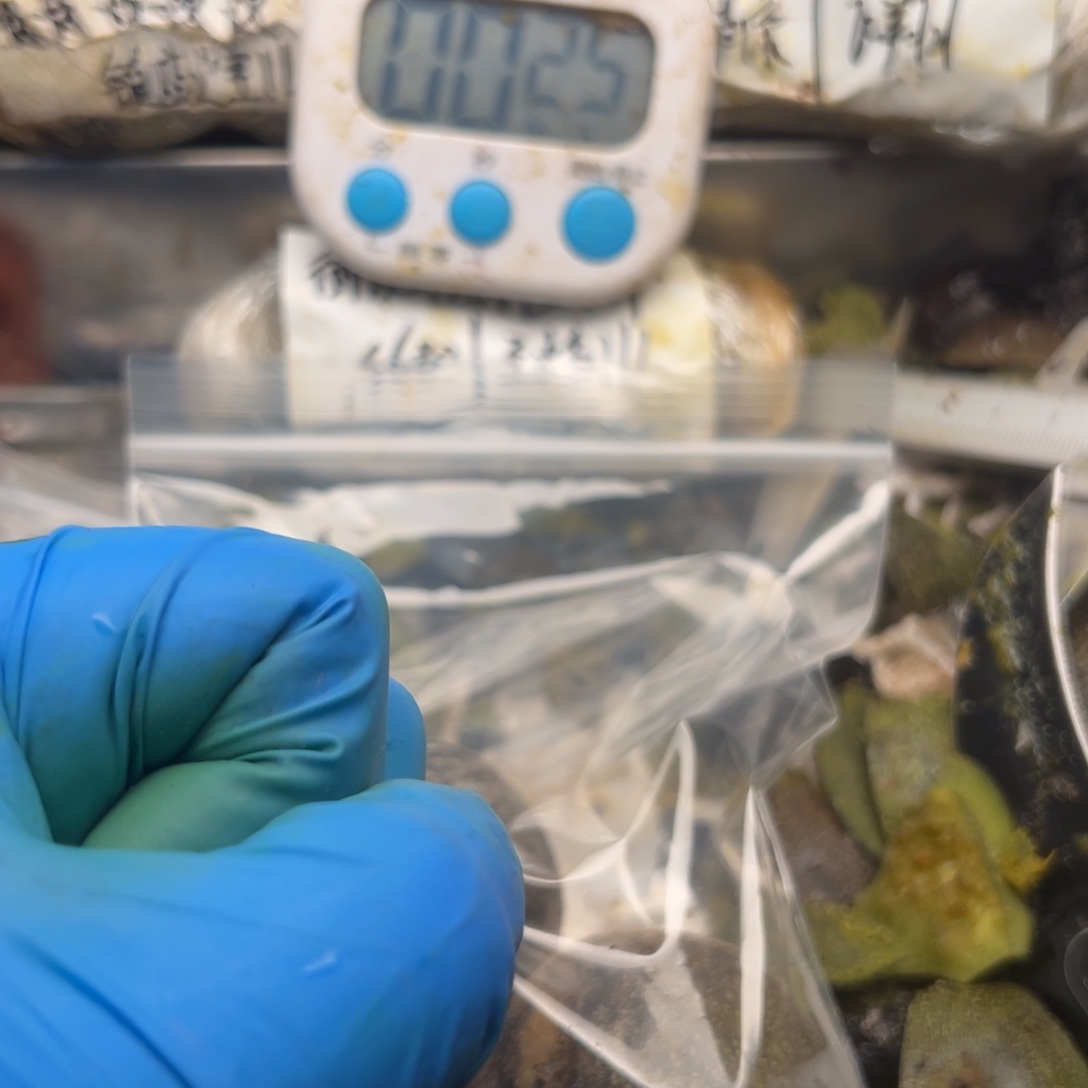 天***空比较积极扭扭捏捏妈妈扭扭捏捏家