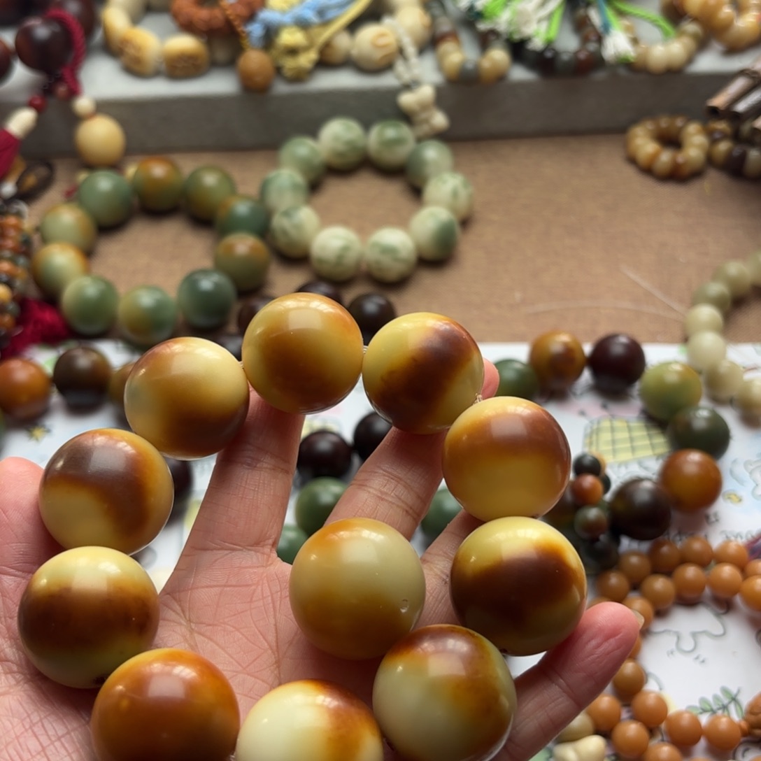 风***阻菩提根/象牙果吊坠福利