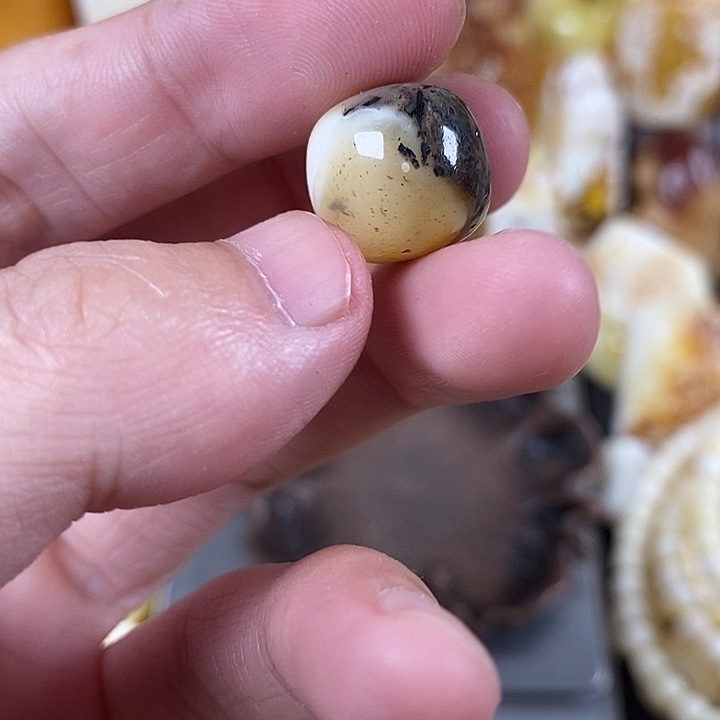 未镶嵌琥珀裸石我