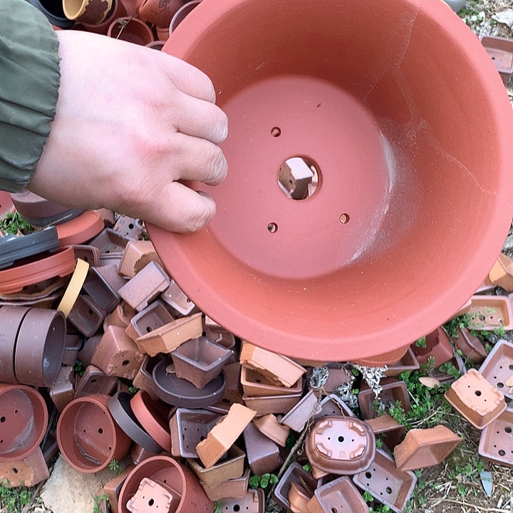 紫砂哈哈真的是太给力太多真的