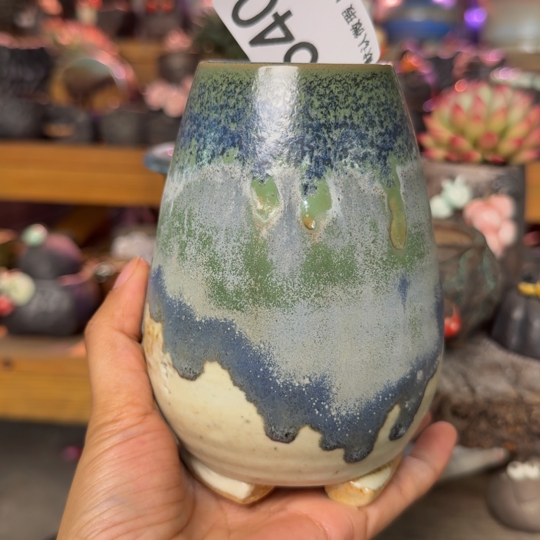 重庆小燕子欢迎大家540