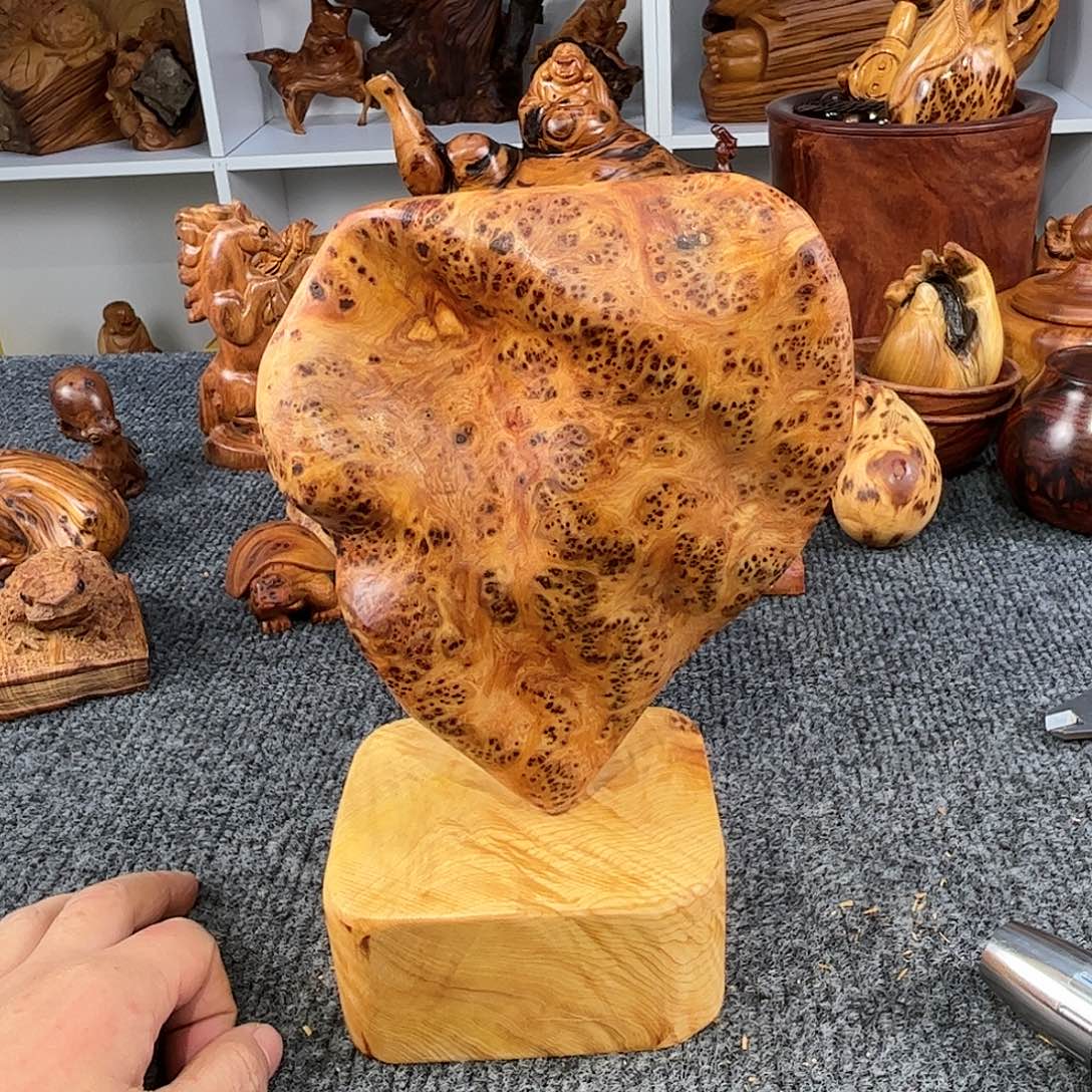 用***鸽崖柏太行崖柏玉华榴花发财树摆件