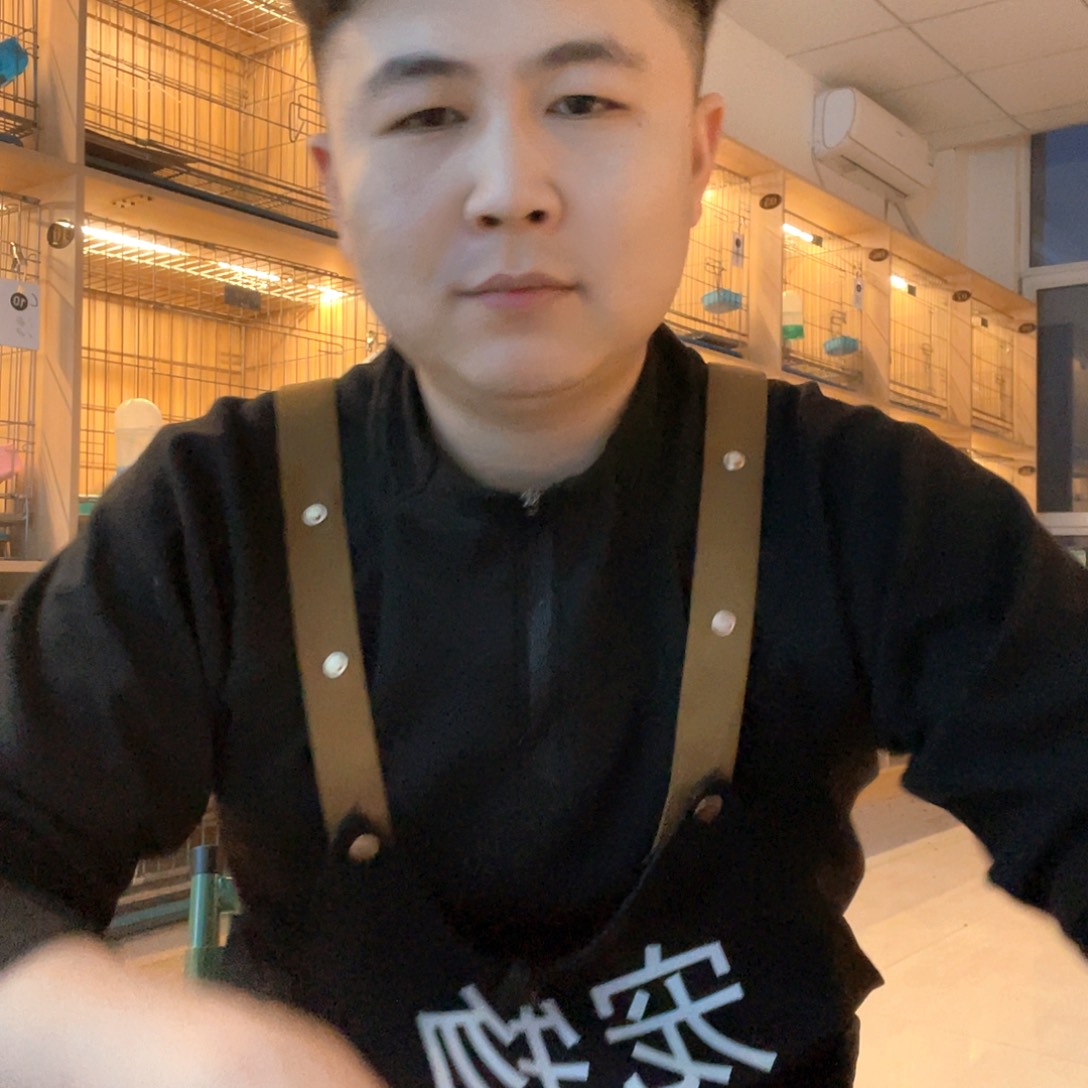 宠物猫批发老板一只
