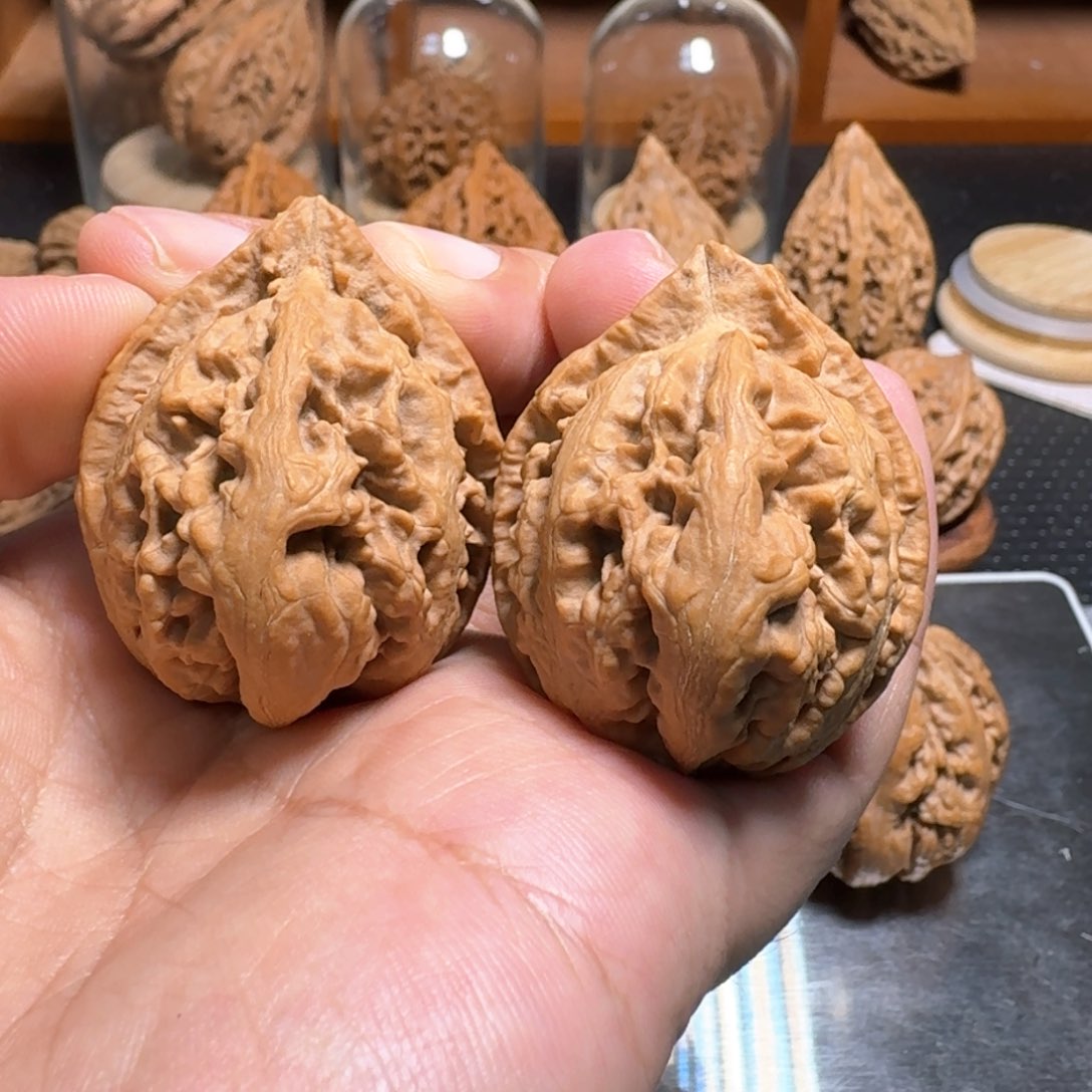 文玩核桃把件42肚大肚红灯笼