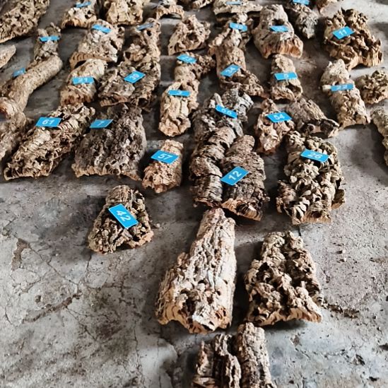 完全开放顺顺利利，平平安安