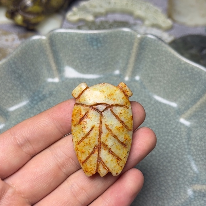 直播放漏专属链接46