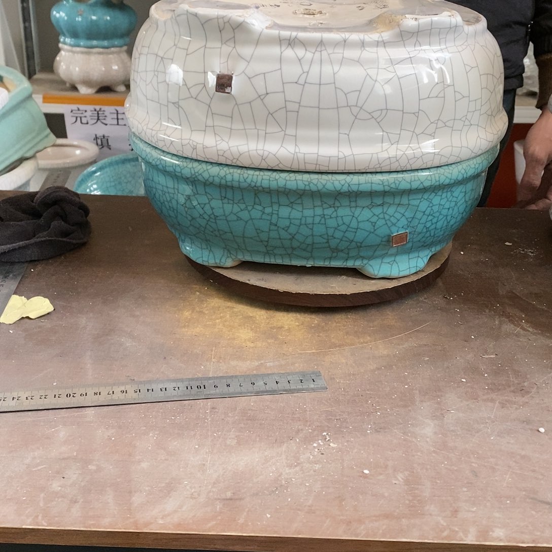 花盆花盆里放满鲜花