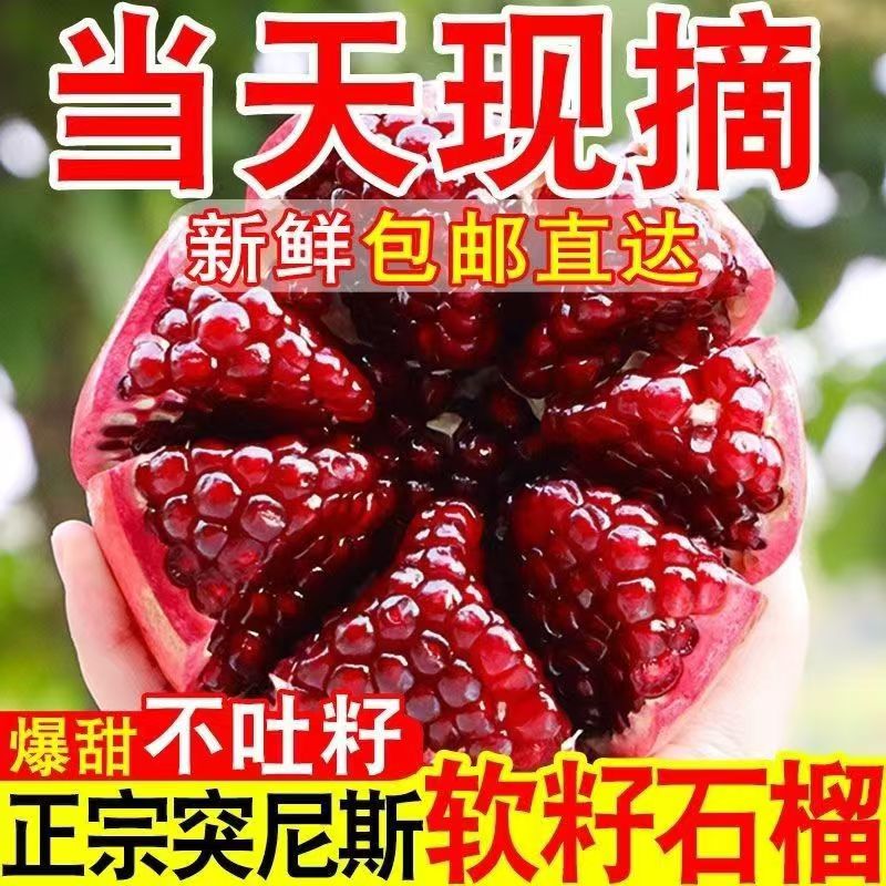 【带箱5斤】四川突尼斯软籽石榴300-400g大果净重4.5斤到手5-8个