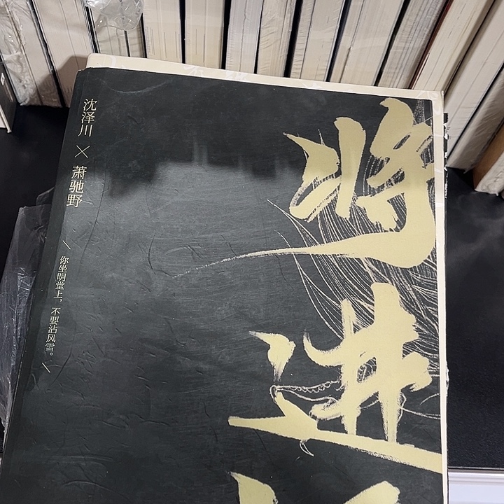 将进酒全新全套四本带周边