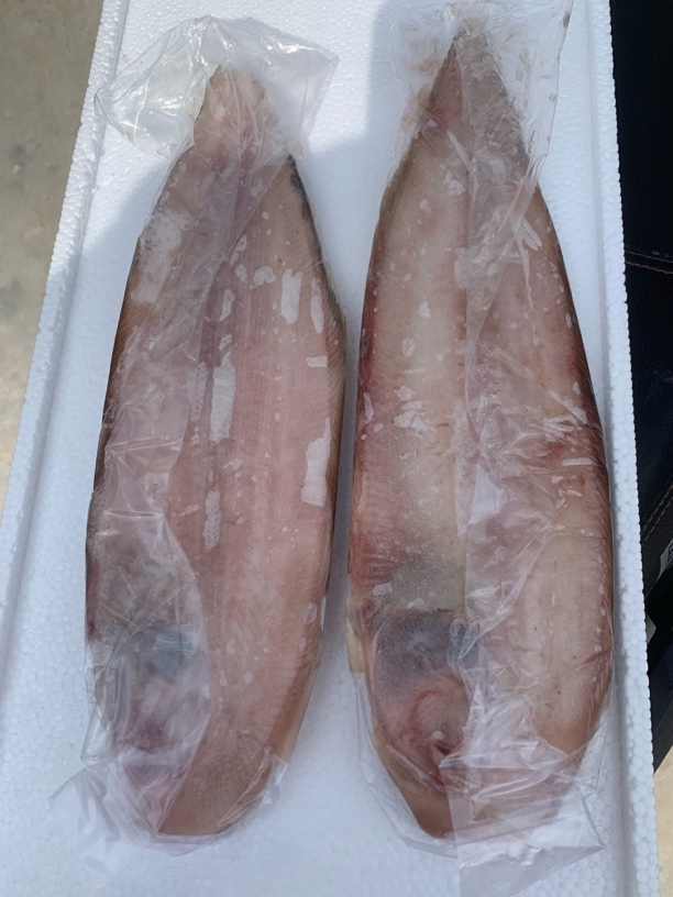 龙利鱼半斤左右一条