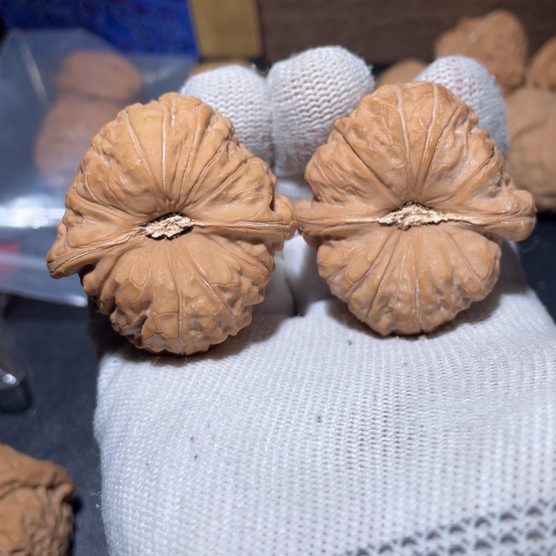 大叶紫檀（黑酸枝木类）全品南瓜炖，轻微泛油