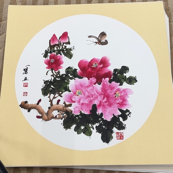 国画花鸟等多种鸟类的栖息地和栖息地等
