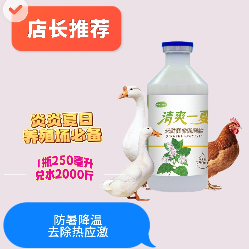 清爽一夏 霍香加冰片 不怕中暑 防止热应激  促食开胃 清凉过一夏