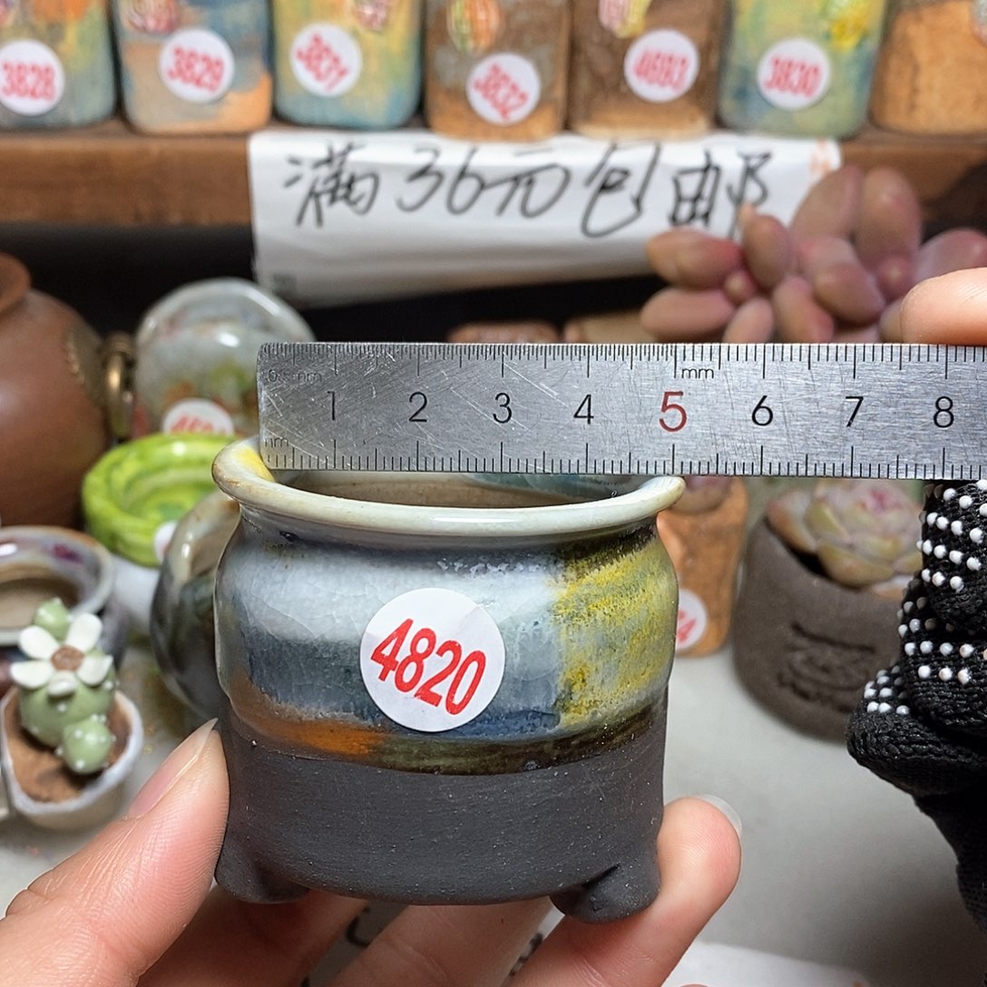 红陶拍5送一个小