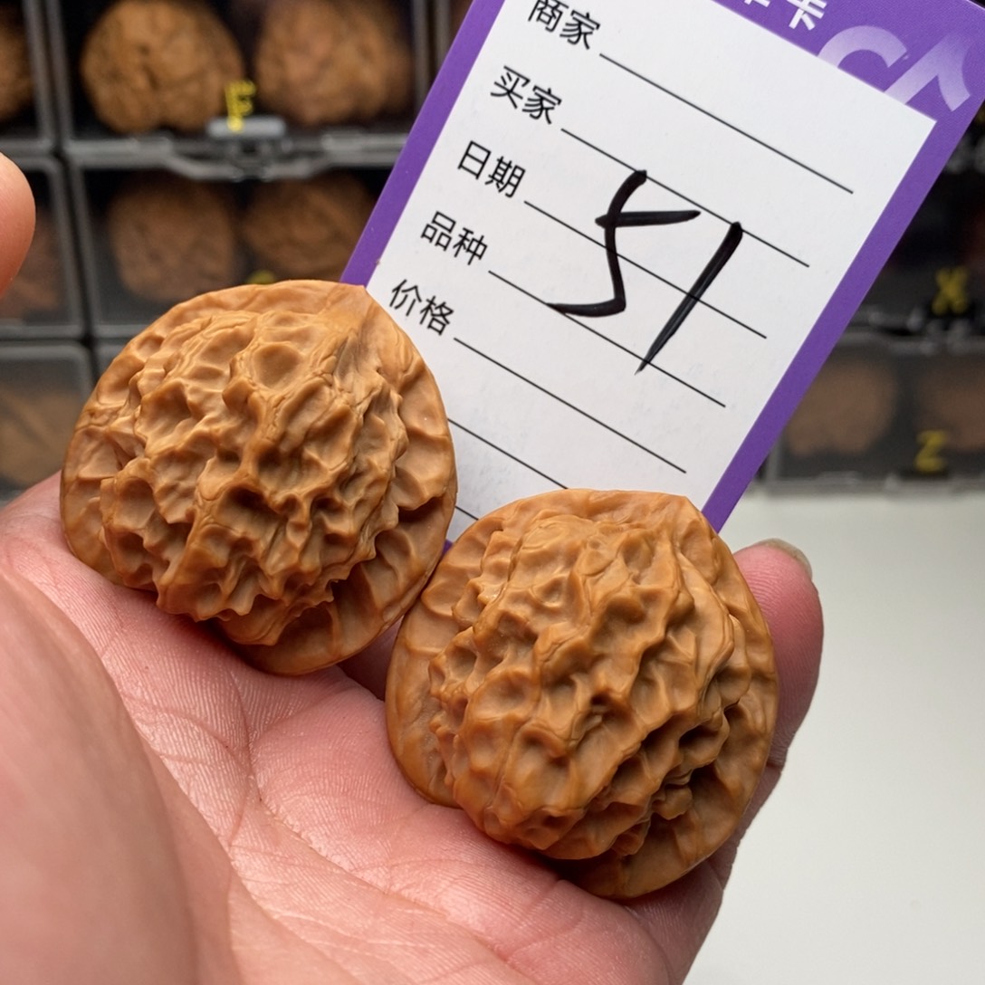 41龙鳞狮子头，尖微修