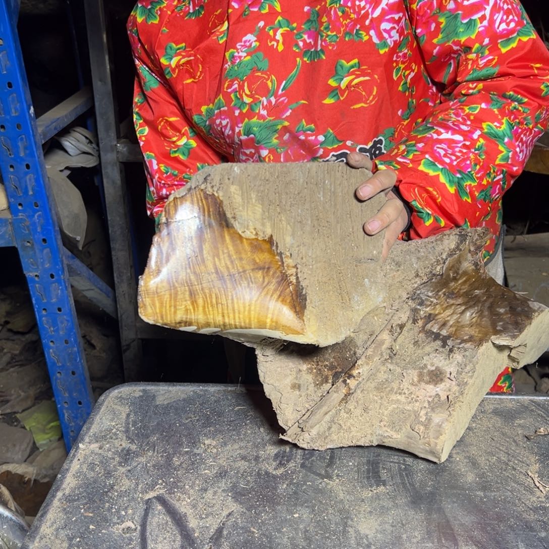 o***o金丝楠22222222222222222222