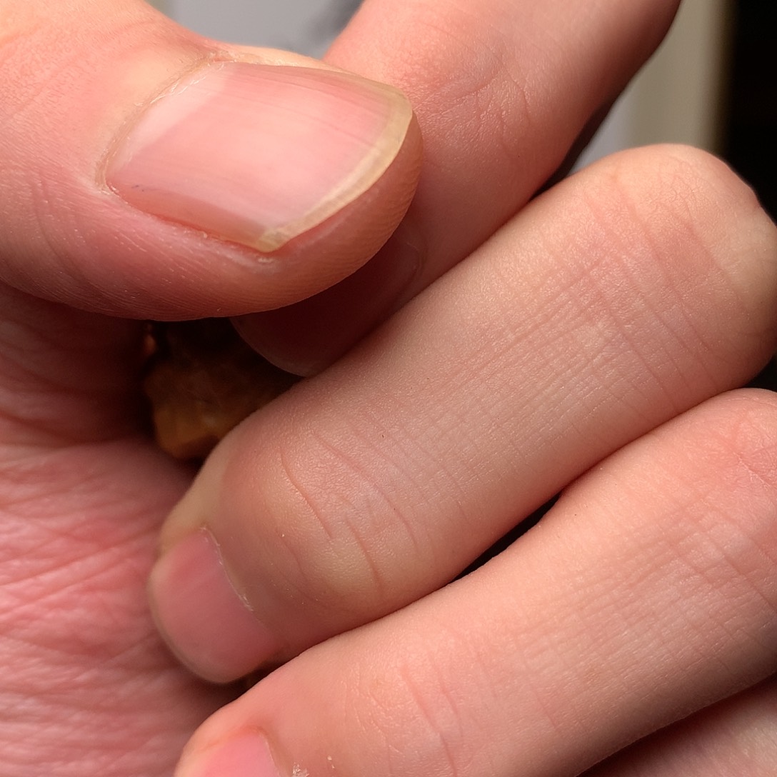 文玩核桃把件八方客文玩1112111