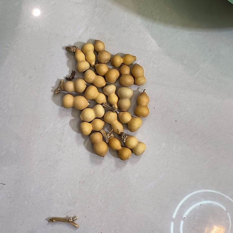 【闪购商品】从****葫芦葫芦葫芦葫芦葫芦