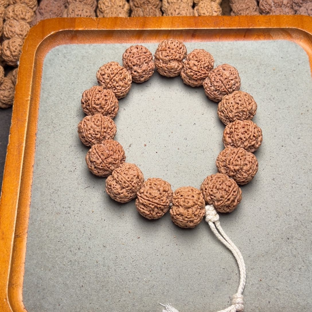 菩提20号金刚菩提六瓣23