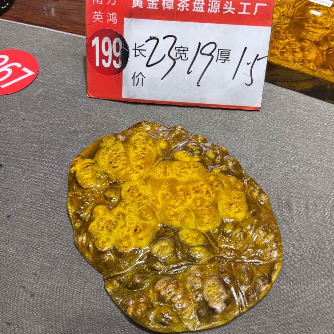 黄金樟888888888677777