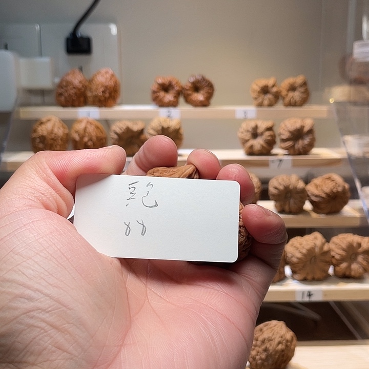 没***包文玩核桃把件鲸品南疆