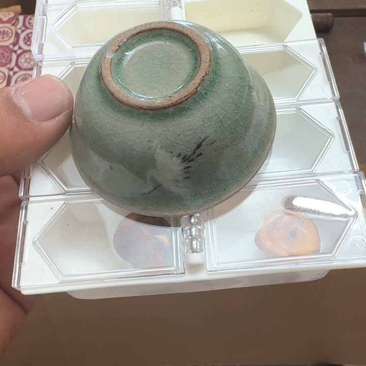 心***成主人杯哈恍恍惚惚