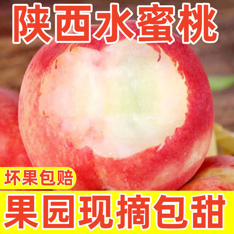 【果园现摘】正宗陕西水蜜桃新鲜桃子当季水果孕妇水蜜桃脆桃整箱
