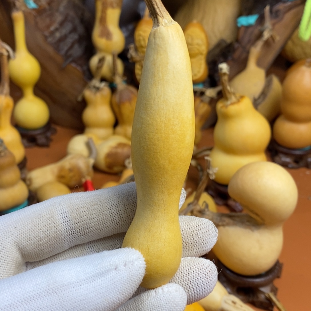 好***鼠啦啦教练咯考虑考虑教练咯