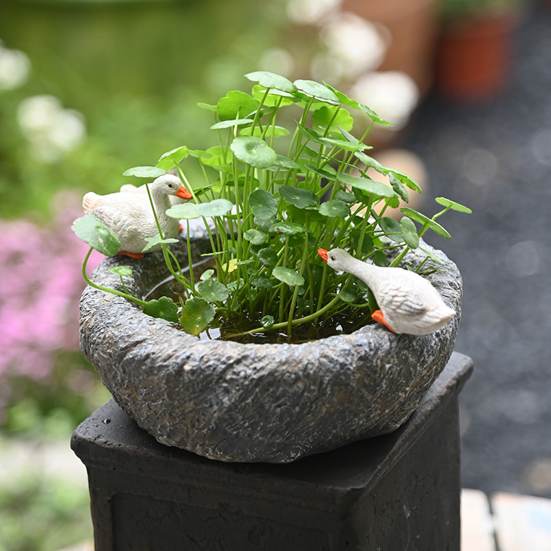 复古铜钱草花盆石臼鸭子水培花盆碗莲一线莲水养盆花园摆件庭院