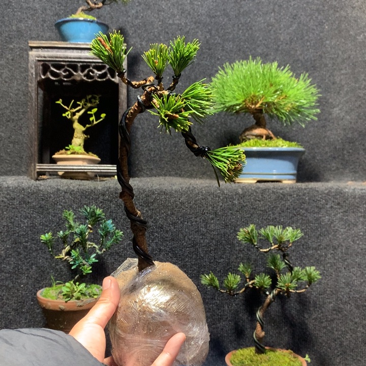 航***、完全开放1111111111111