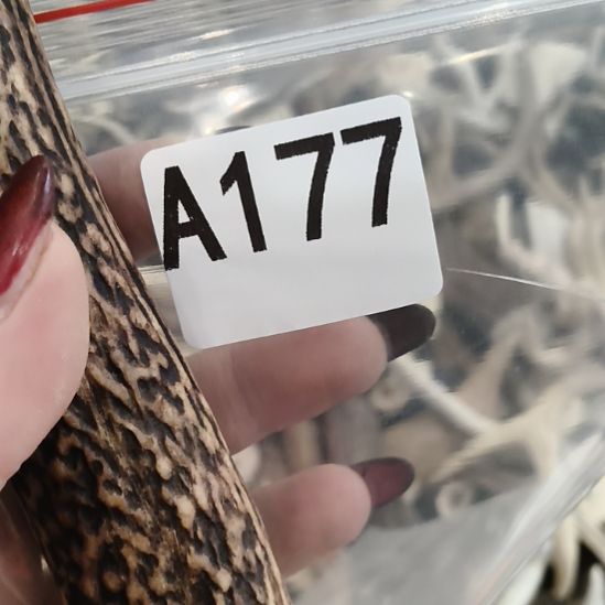 ****雨鹿角鹿角鹿角鹿角鹿角