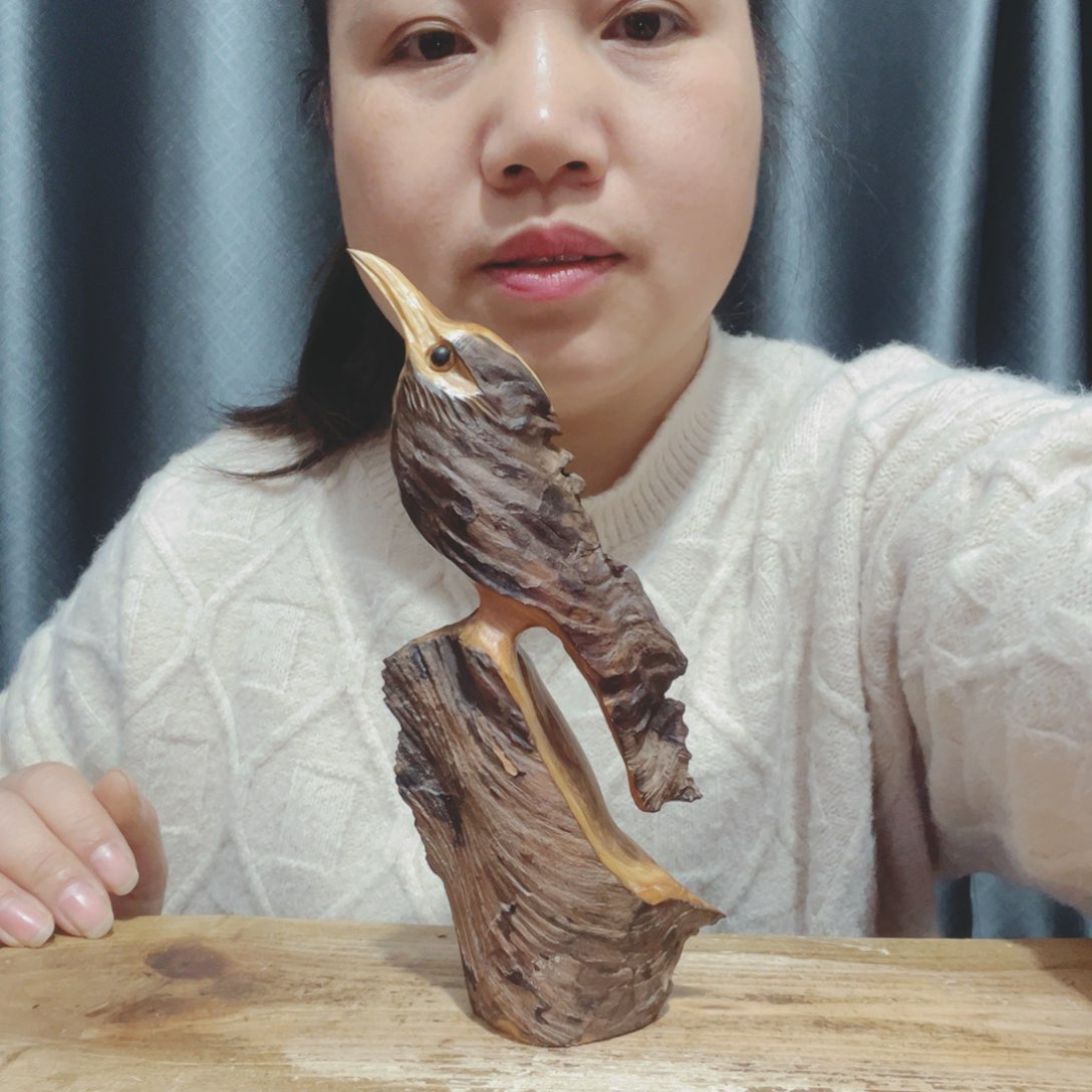 官**化百年树的生长环境