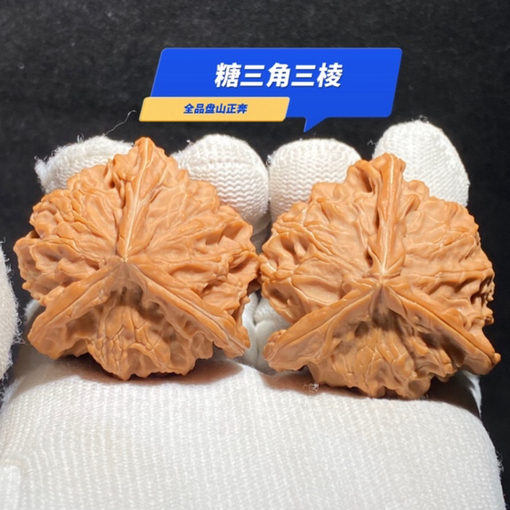 糖三角三棱 全品盘山天然异形 开角正矮桩形 实属难得 骨质皮色好