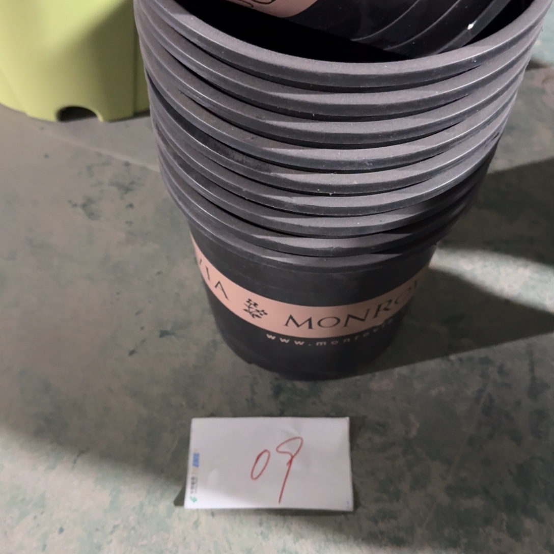 编号是09号的09号的