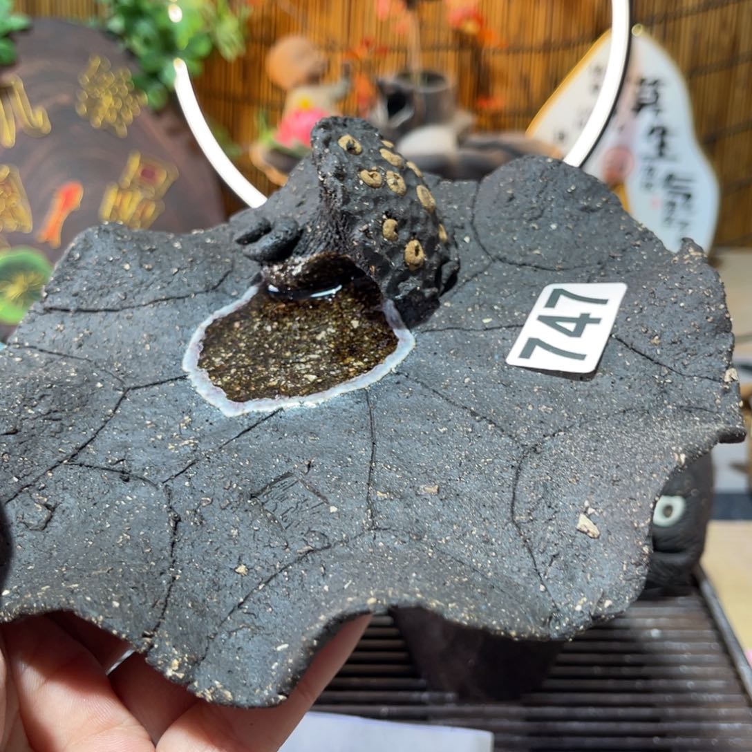 木村信弘柴烧保平