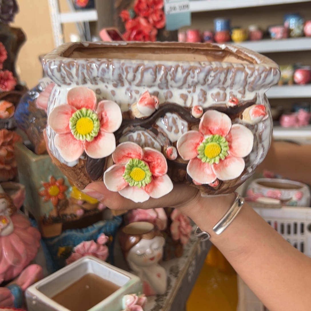 花盆，拍满20发货，退款拉黑