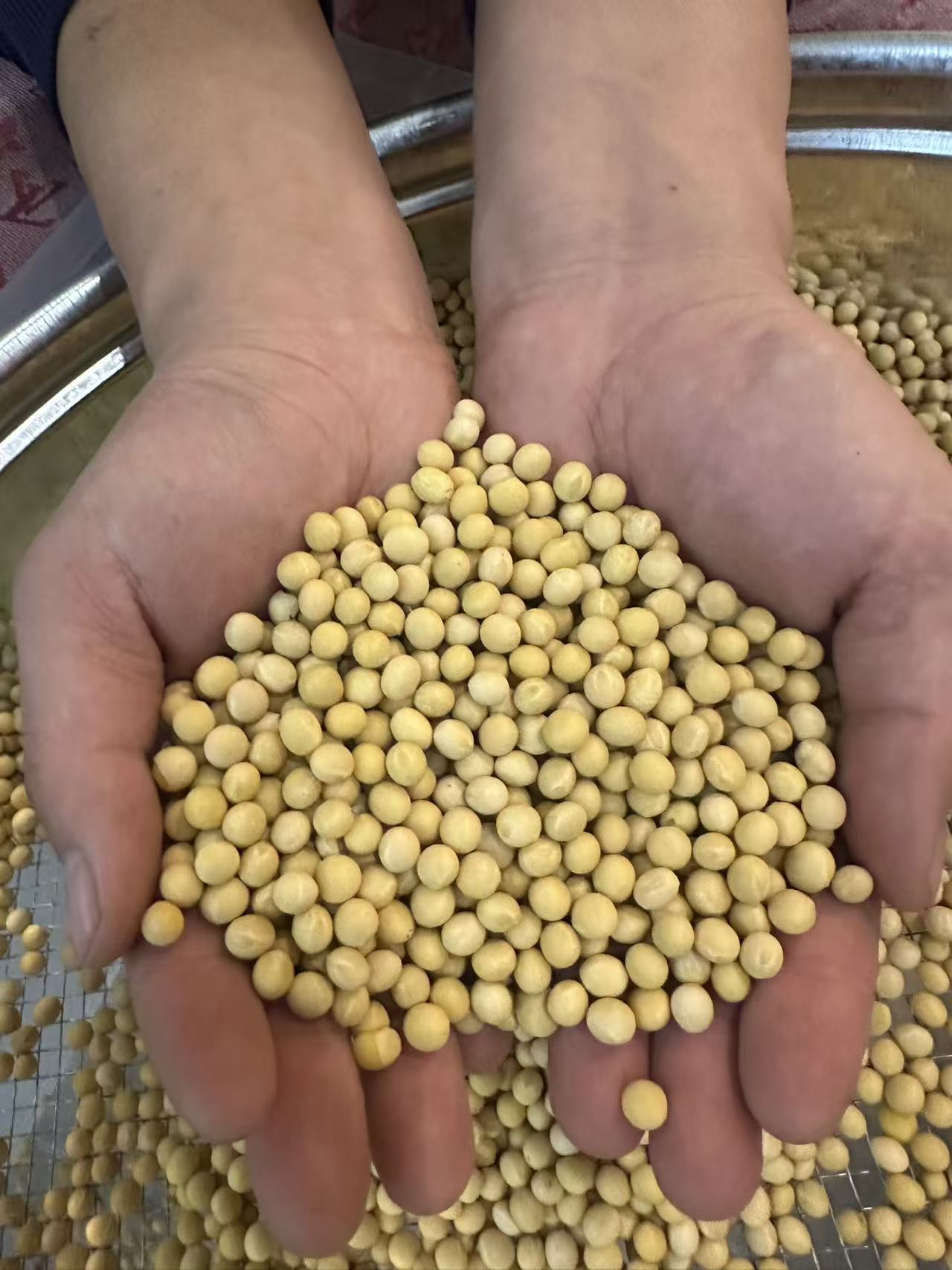 东北农家人自种小院黄豆5斤装