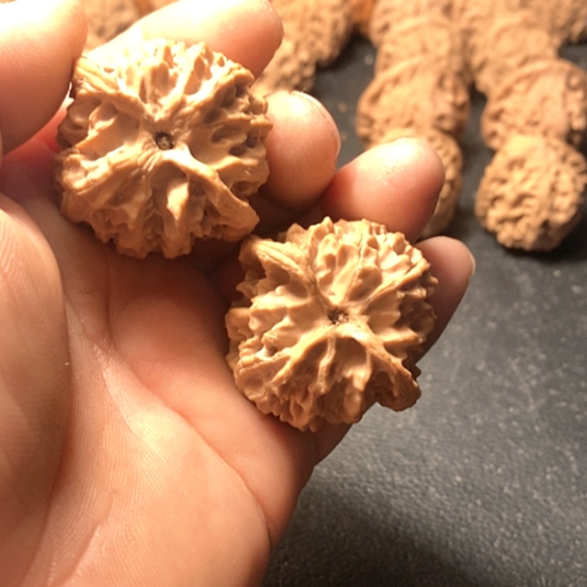 【闪购商品】大****5苹果