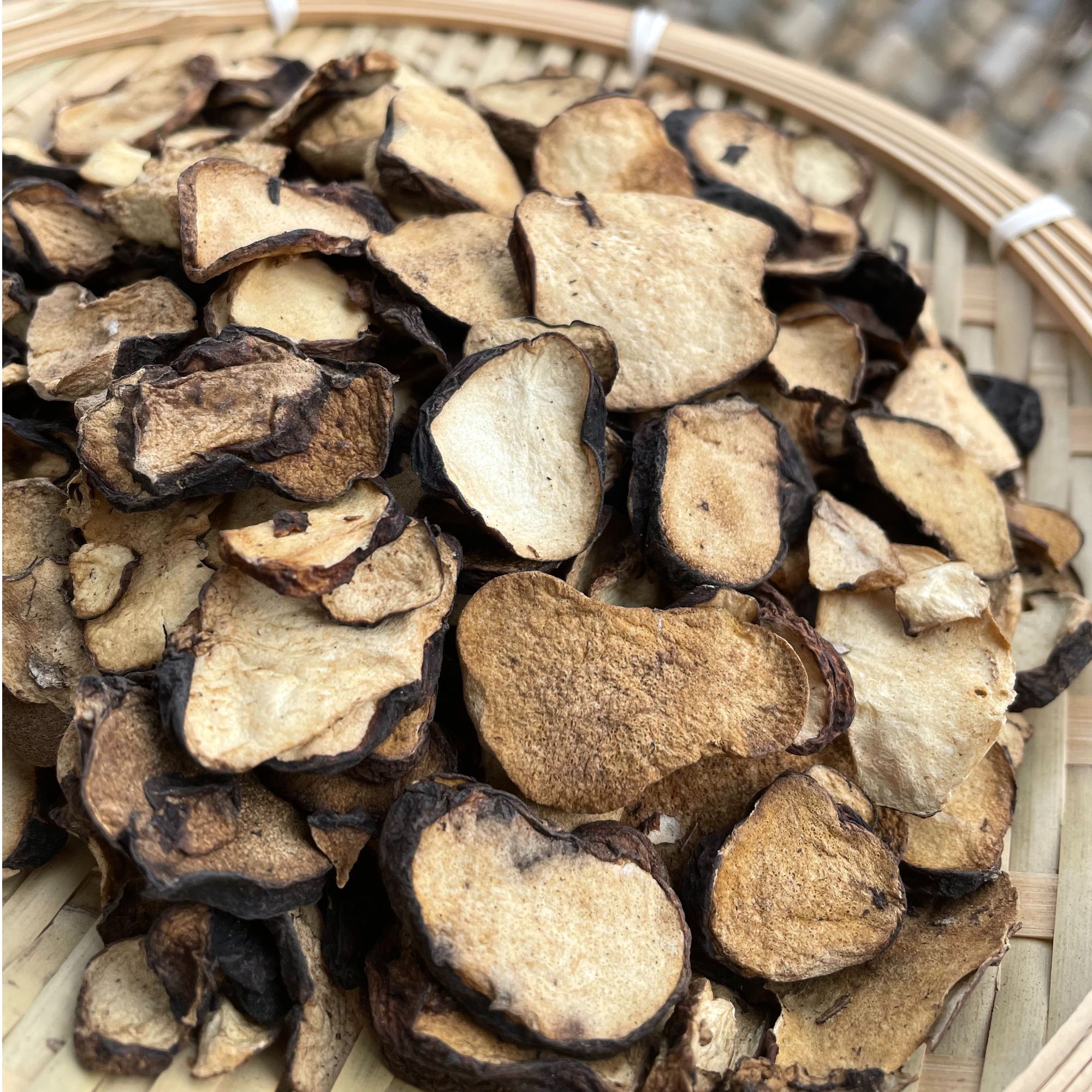 云南高原山货土特产—须腹菌