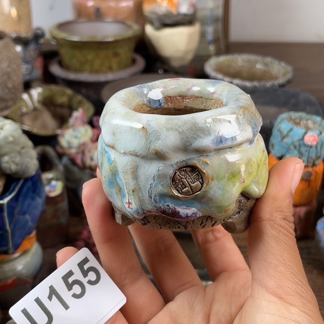 默认微次 跨年福利 坛子姐花盆