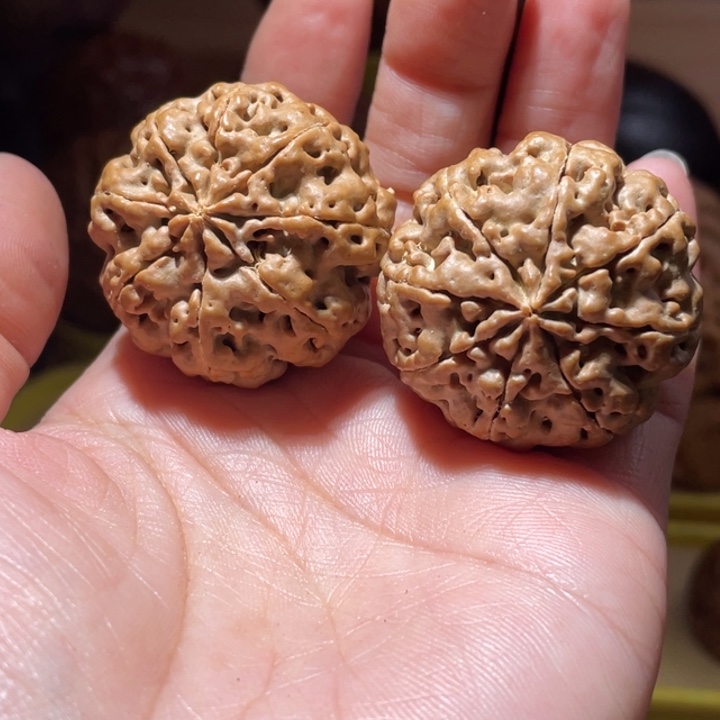 桃核把件八瓣金刚菩提