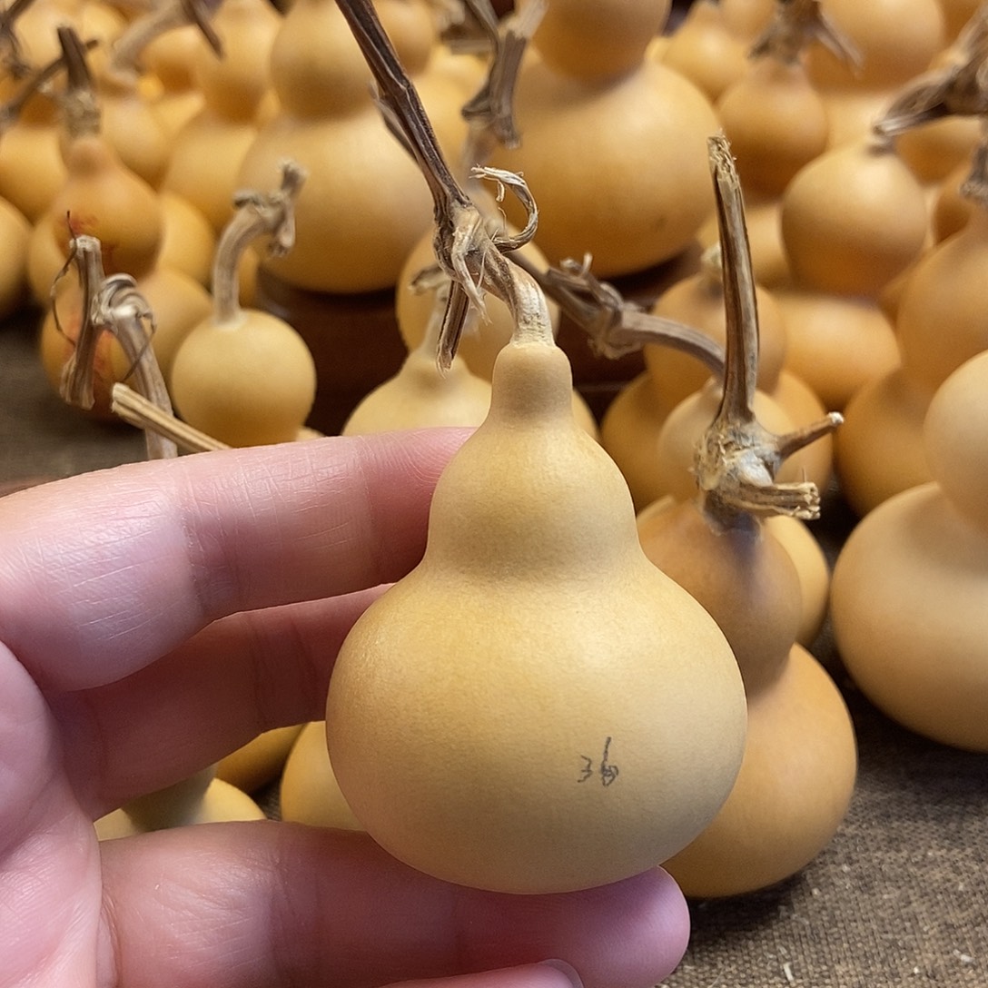 文玩葫芦 完美主义者 慎拍36
