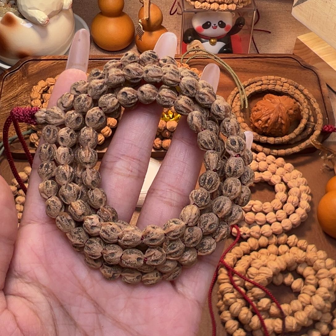 T***L菩提籽类热振尸陀林