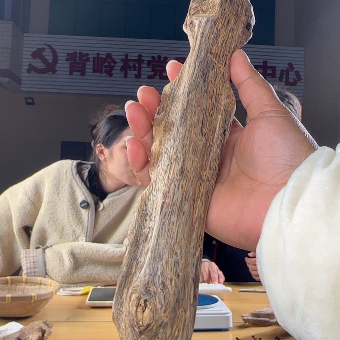 沉香碎屑沉香棋楠虫漏摆一件