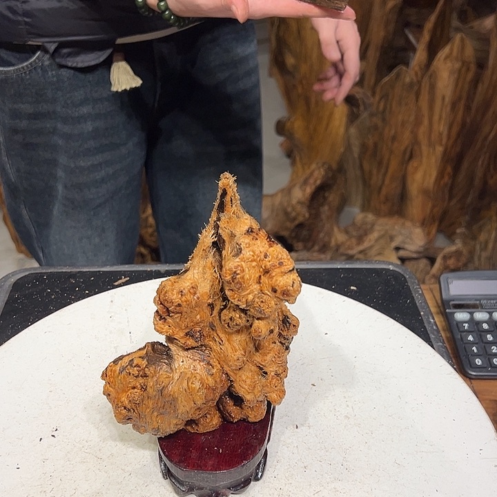 松木（琥珀木）远***子