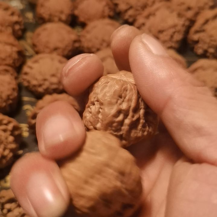 文玩核桃把件?**?蛤蟆头