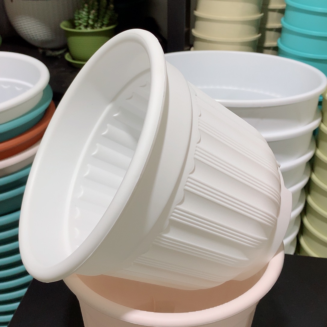 树脂罗马口21白5个无托